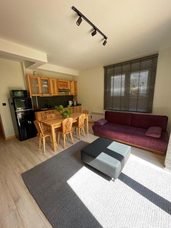 Apartament Zakopane Willa Hrube Parter Z Tarasem I Kominkiem Exterior foto